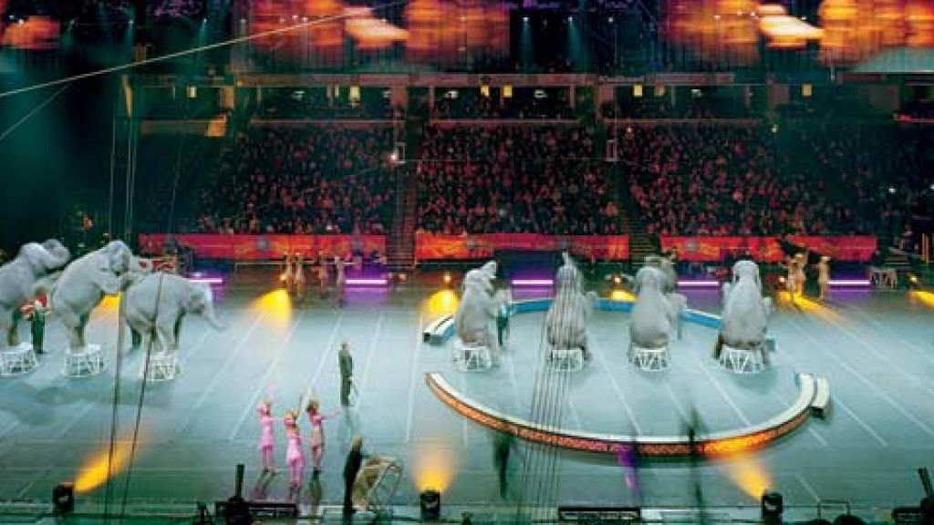 The Business of the Ringling Bros. and Barnum & Bailey Circus