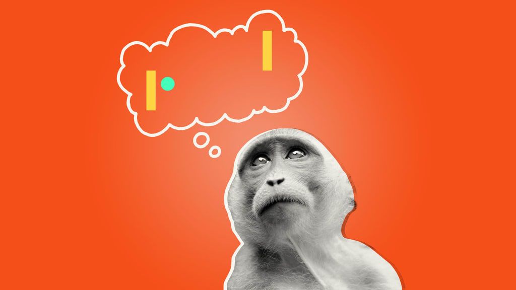 एलोन मस्क के न्यूरालिंक के साथ प्रत्यारोपित एक बंदर अब पोंग खेलता है - वास्तव में अच्छा - अपने दिमाग का उपयोग करना