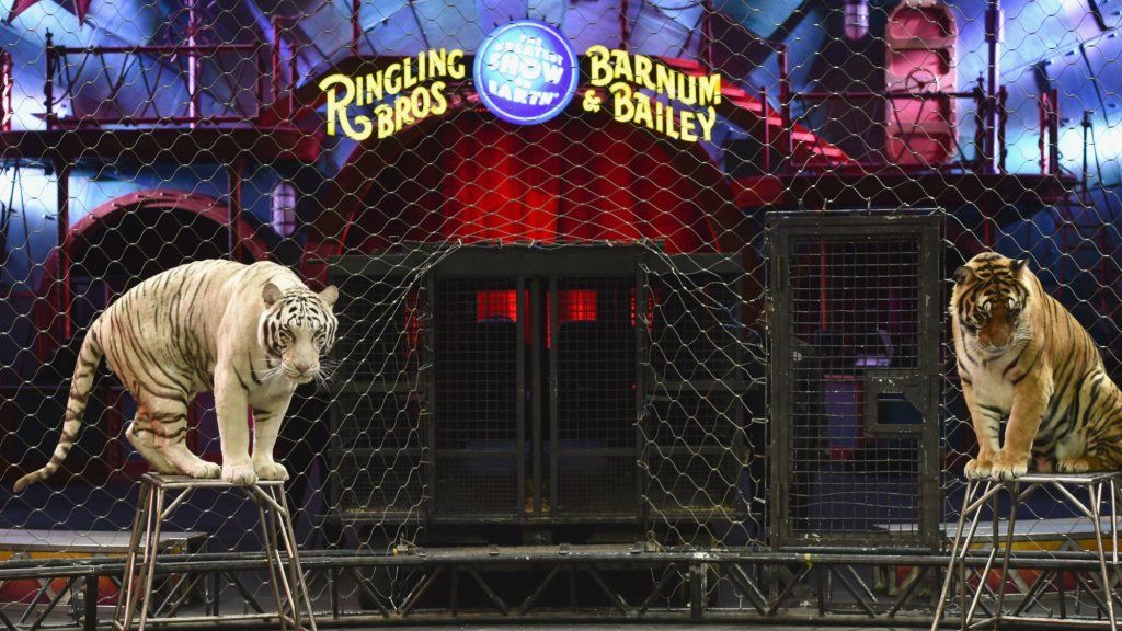 Hur Ringling Brothers dödade cirkusen med teknik
