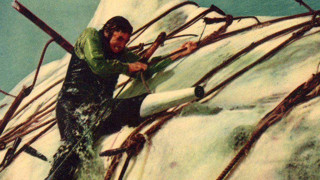 Din egen privata val: Ledarskapslektioner från Moby Dick