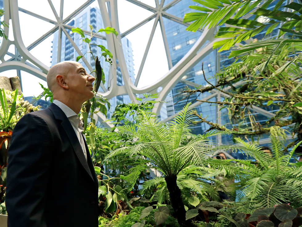 Amazon bekerja sama dengan fakultas dari Universitas Washington dan departemen biologinya dalam proyek tersebut, dan perusahaan mengatakan pembangunan Spheres menciptakan 600 pekerjaan penuh waktu.