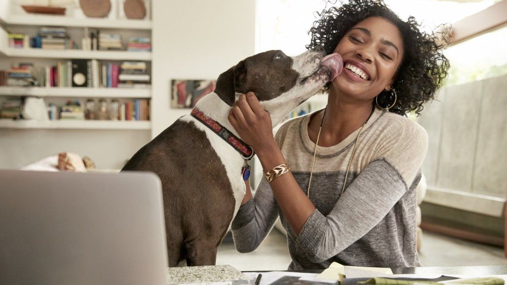 19 цитата о псима и њиховом добром животу